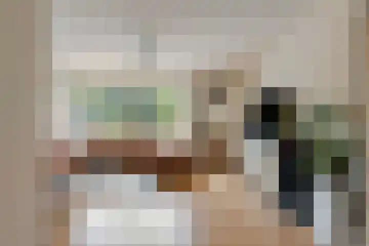 Bachlaan 56 Goes thumbnail 9