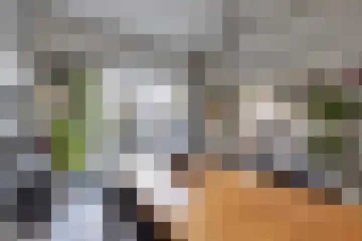 Bachlaan 57 Alkmaar thumbnail 10