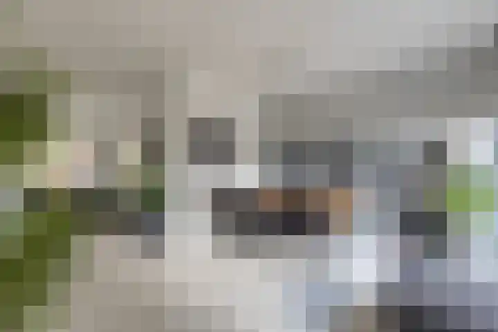 Bachlaan 57 Alkmaar thumbnail 11