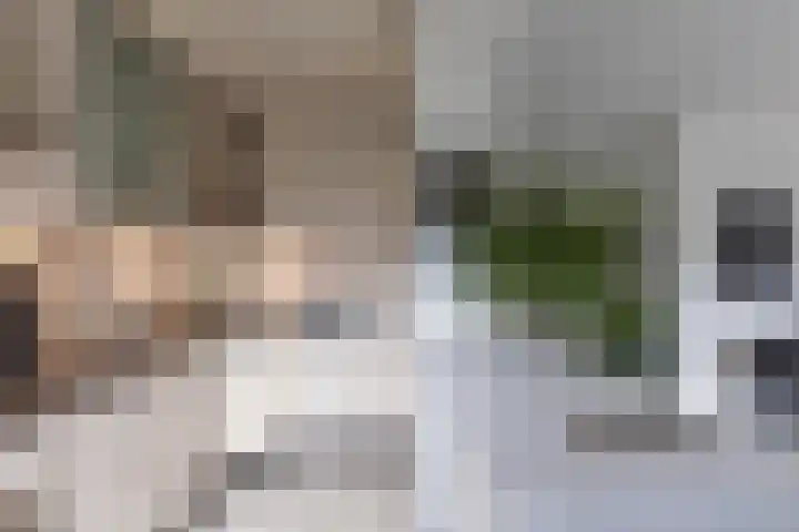 Bachlaan 57 Alkmaar thumbnail 14