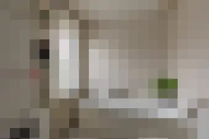 Bachlaan 57 Alkmaar thumbnail 23