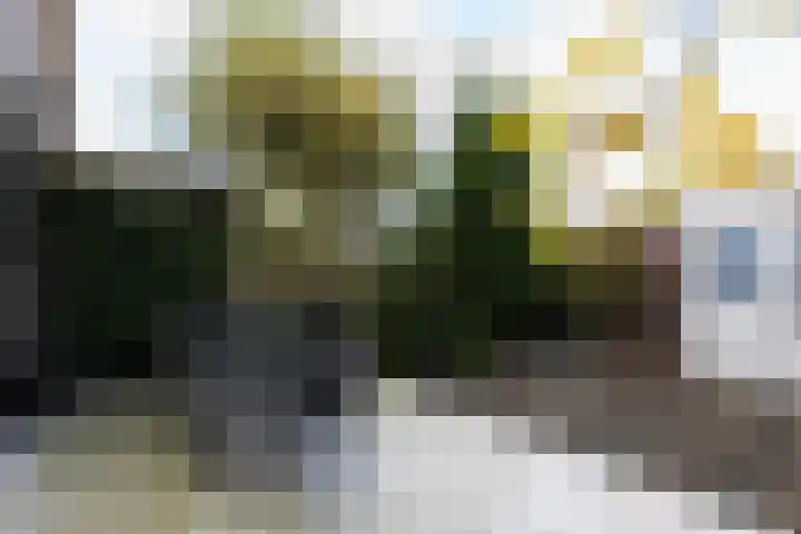Bachlaan 57 Alkmaar thumbnail 38