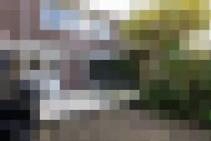 Bachlaan 57 Alkmaar thumbnail 39
