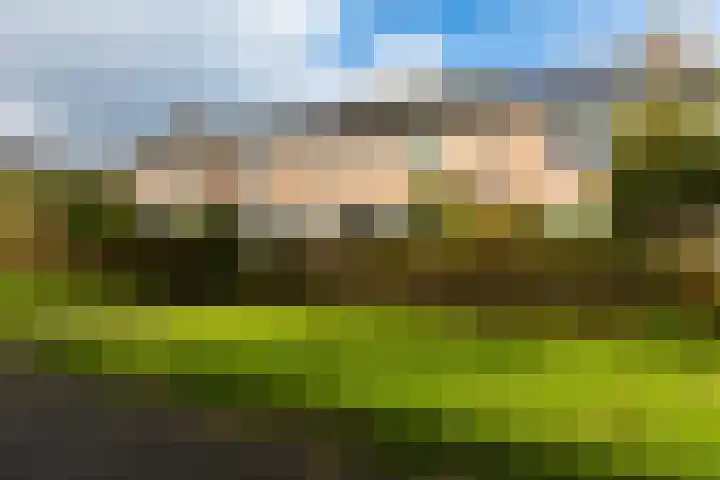 Bachlaan 57 Alkmaar thumbnail 43