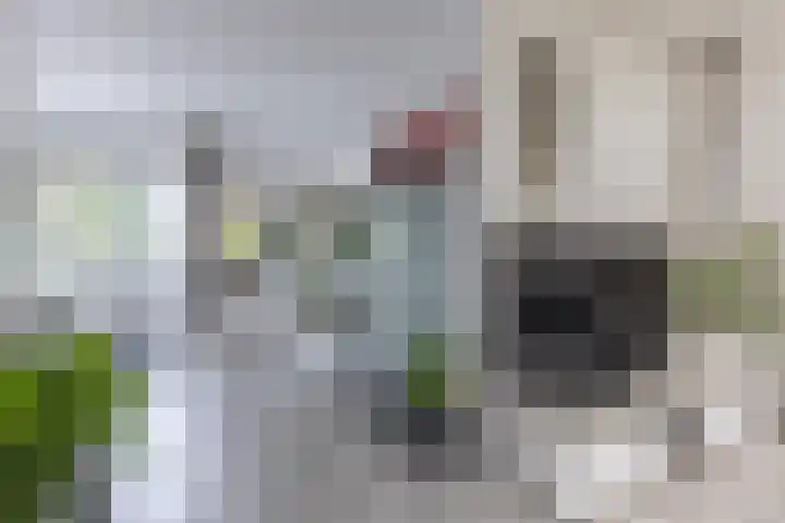 Bachlaan 57 Alkmaar thumbnail 7