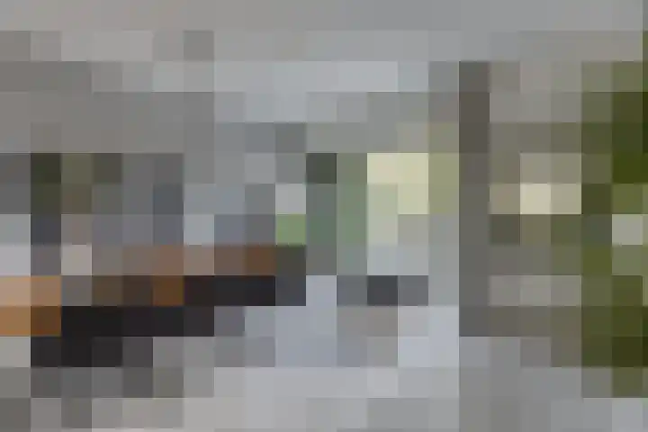 Bachlaan 57 Alkmaar thumbnail 8
