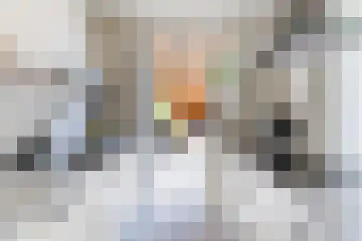 Bachlaan 6 Culemborg thumbnail 14