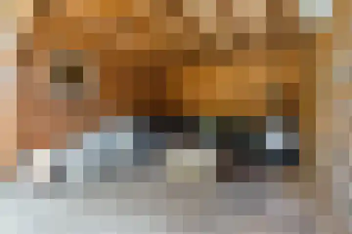 Bachlaan 6 Culemborg thumbnail 18