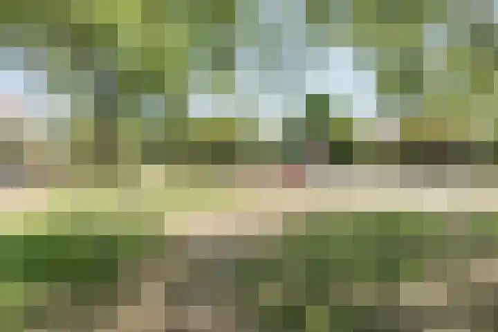 Bachlaan 6 Culemborg thumbnail 20