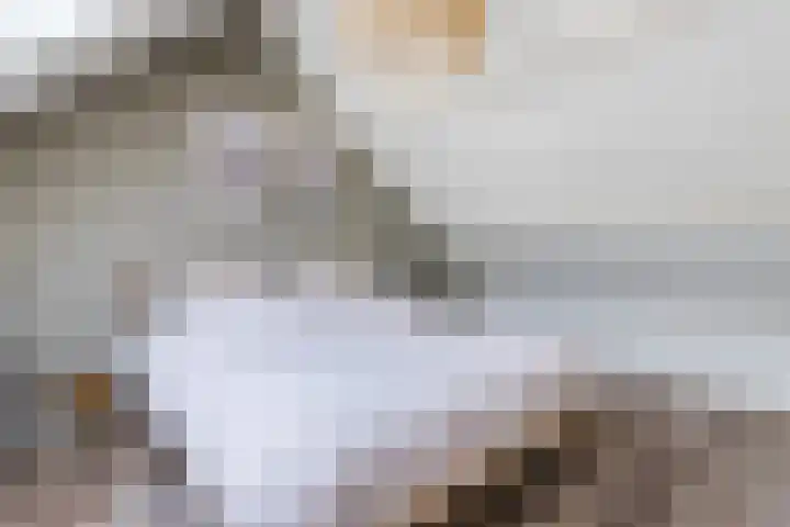 Bachlaan 6 Culemborg thumbnail 31