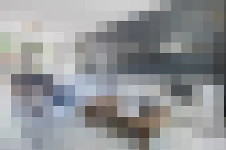 Bachlaan 6 Culemborg thumbnail 4