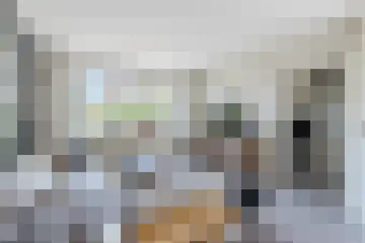 Bachlaan 6 Culemborg thumbnail 8