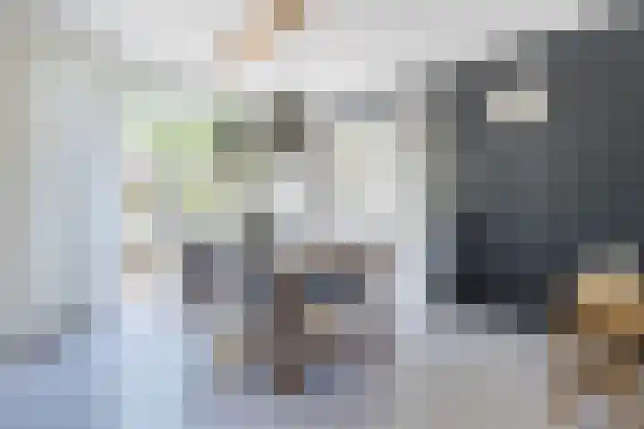 Bachlaan 6 Culemborg thumbnail 9