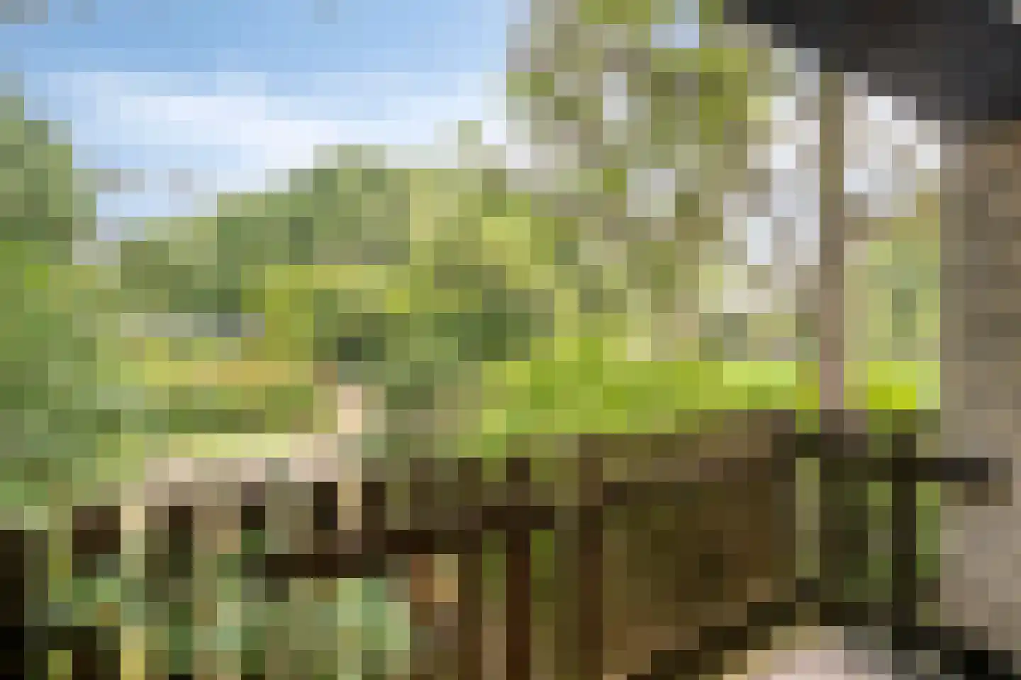 Bachlaan 6 Oss thumbnail 13