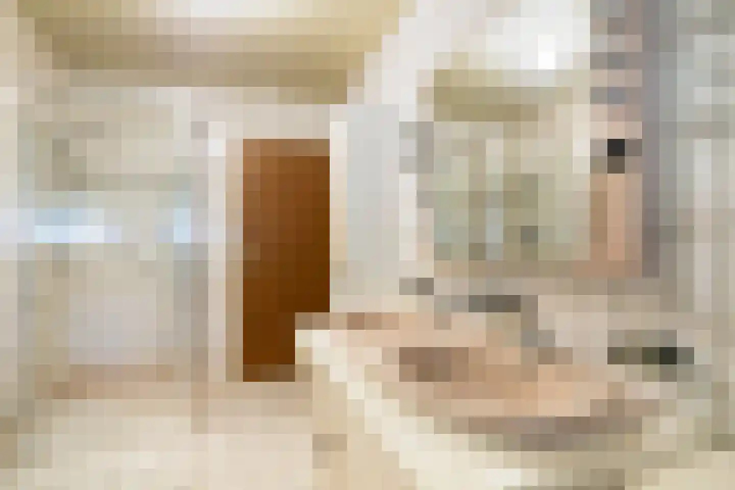 Bachlaan 6 Oss thumbnail 21