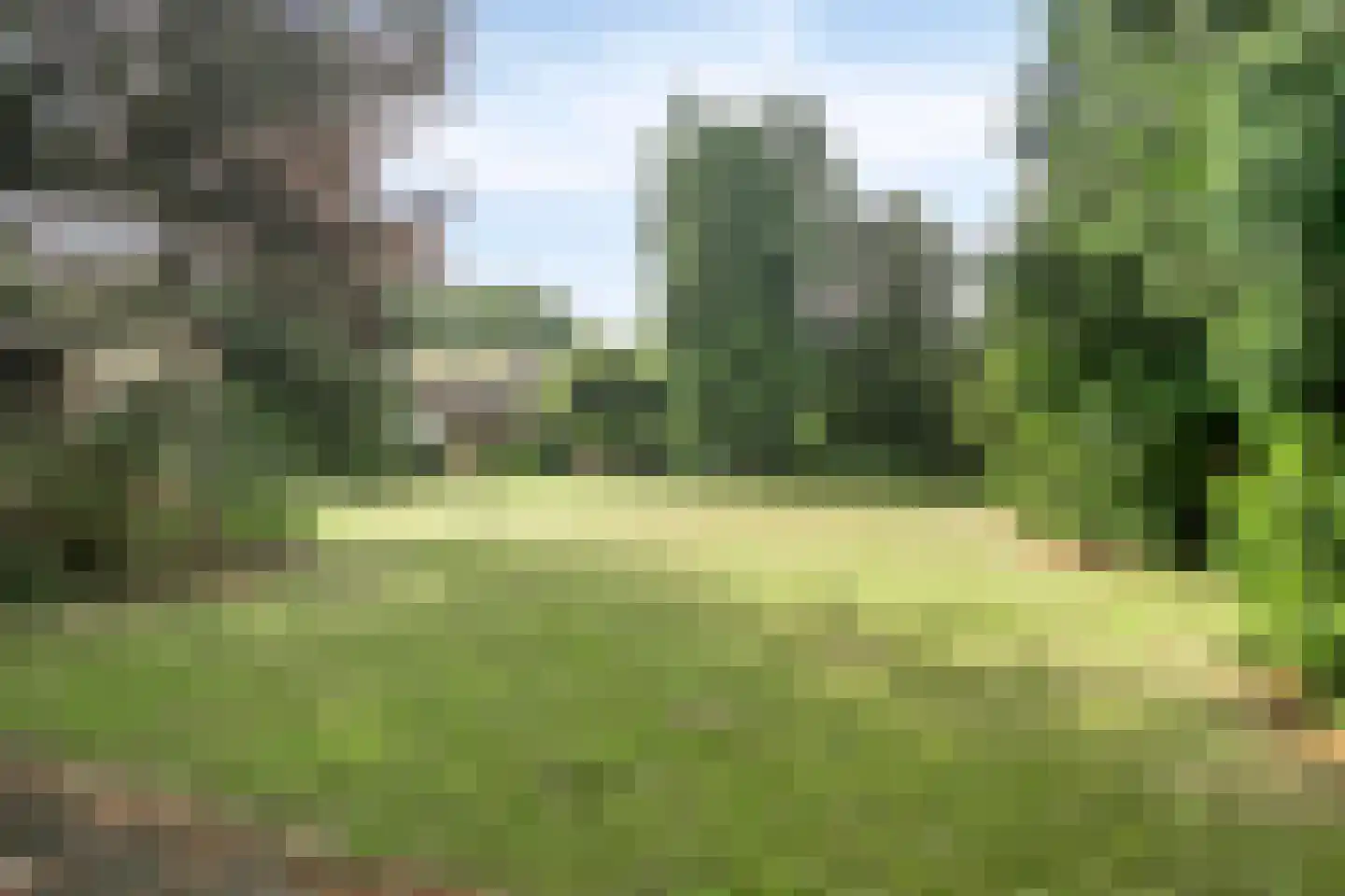 Bachlaan 6 Oss thumbnail 31