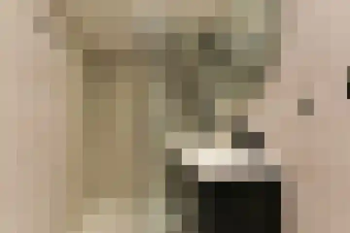 Bachlaan 6 Oss thumbnail 32