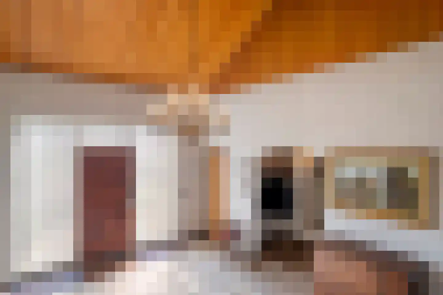 Bachlaan 6 Oss thumbnail 9