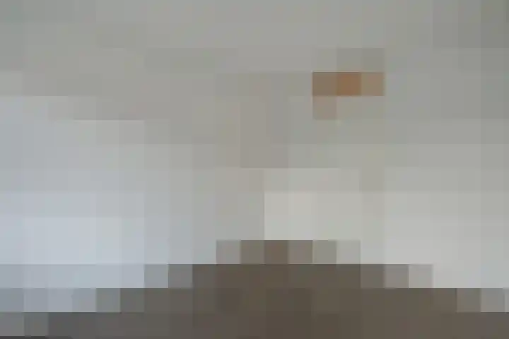 Bachlaan 62 Alkmaar thumbnail 22