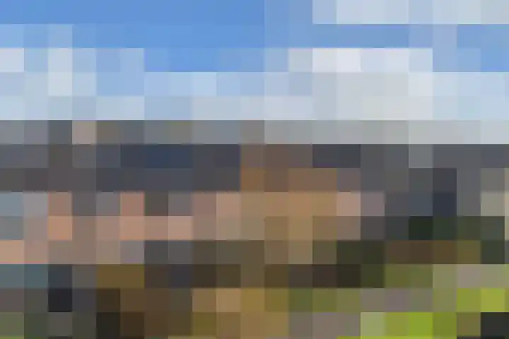 Bachlaan 62 Alkmaar thumbnail 6