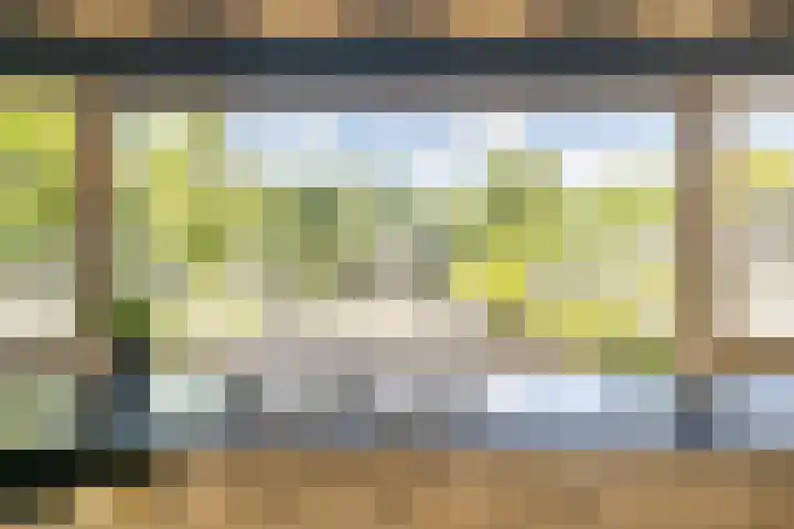 Bachlaan 62 Doorwerth thumbnail 11