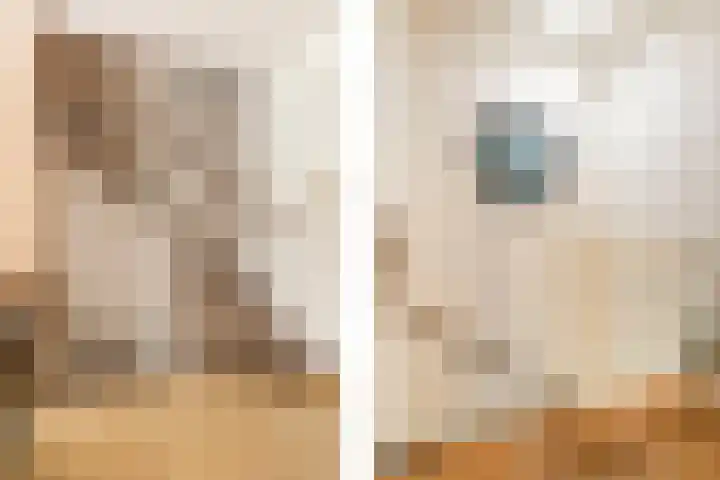 Bachlaan 62 Doorwerth thumbnail 14