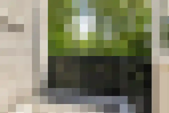 Bachlaan 62 Doorwerth thumbnail 22