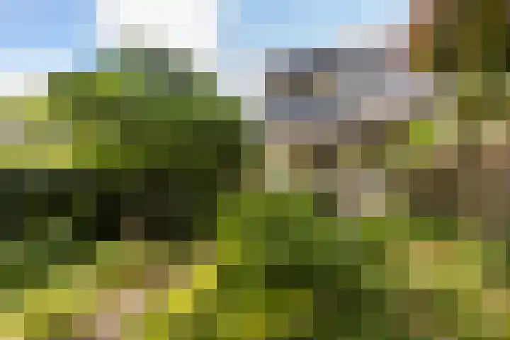 Bachlaan 62 Doorwerth thumbnail 34