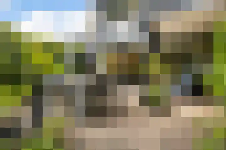 Bachlaan 62 Doorwerth thumbnail 35
