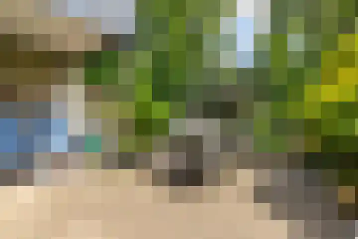 Bachlaan 62 Doorwerth thumbnail 36