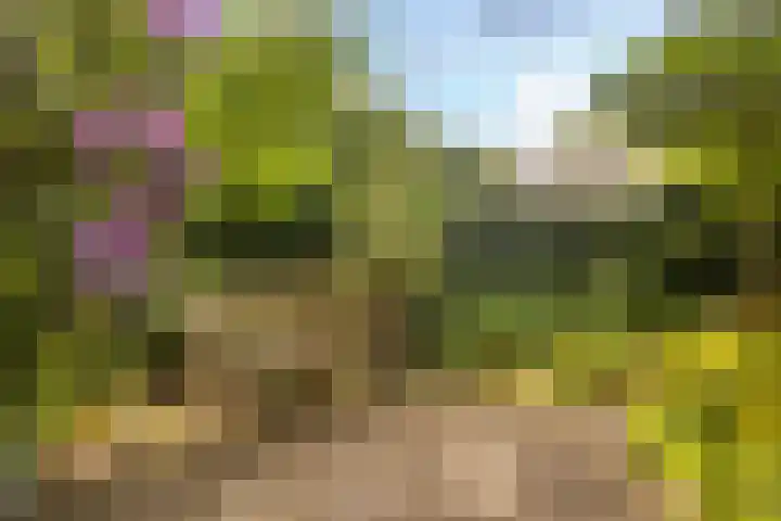 Bachlaan 62 Doorwerth thumbnail 39