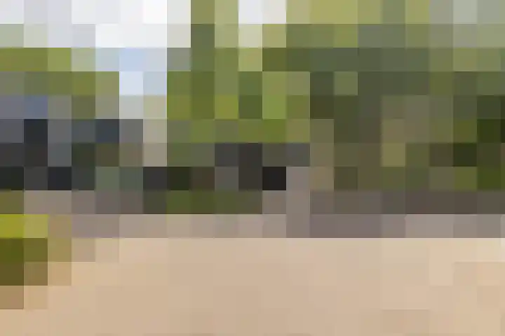 Bachlaan 62 Doorwerth thumbnail 41