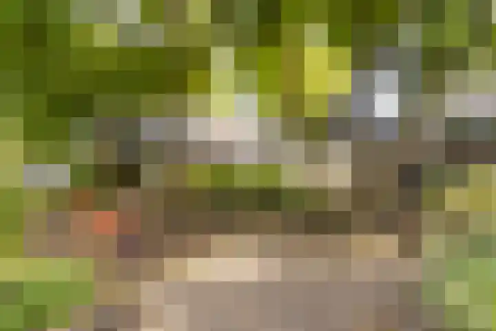 Bachlaan 62 Doorwerth thumbnail 42