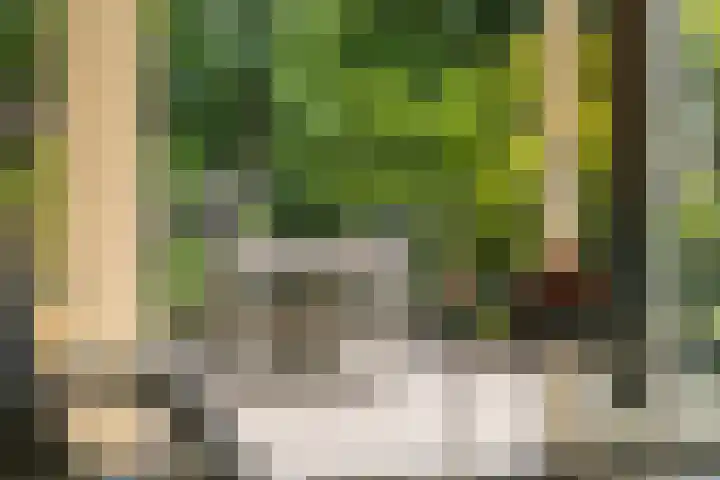 Bachlaan 62 Doorwerth thumbnail 6