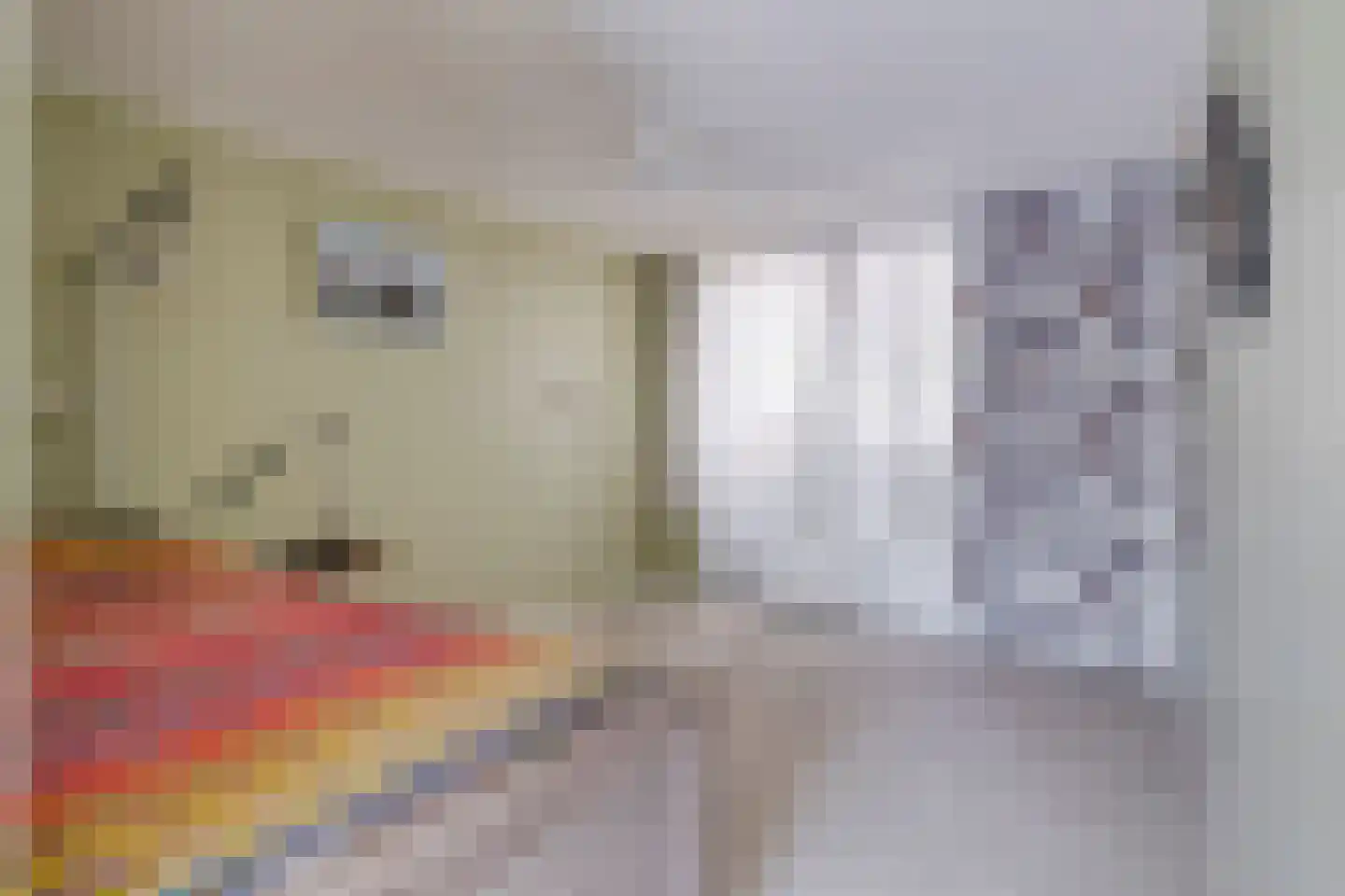 Bachlaan 64 Goes thumbnail 14