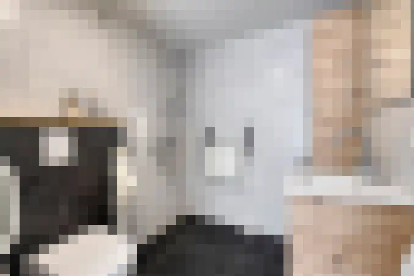 Bachlaan 64 Goes thumbnail 16