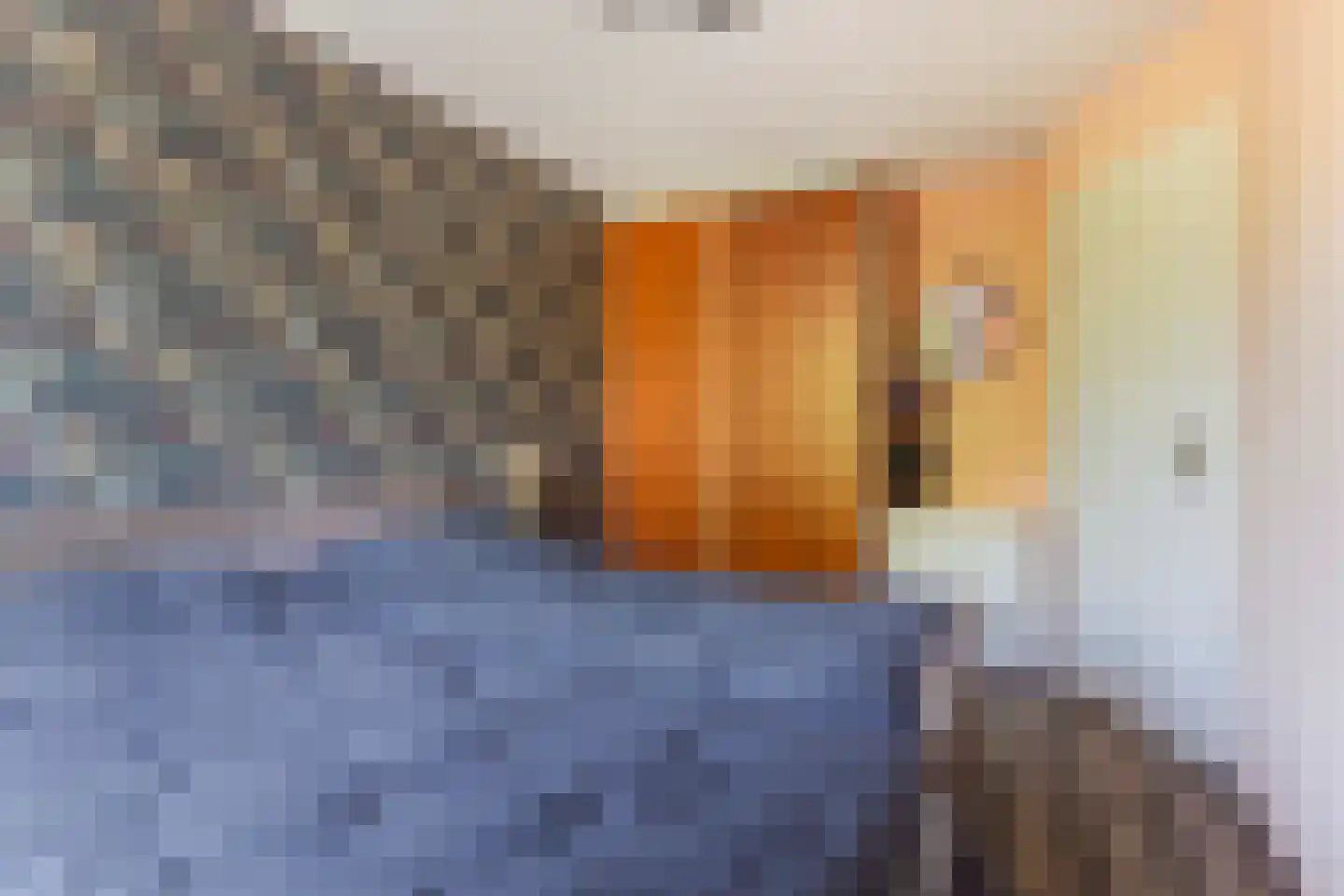 Bachlaan 64 Goes thumbnail 21