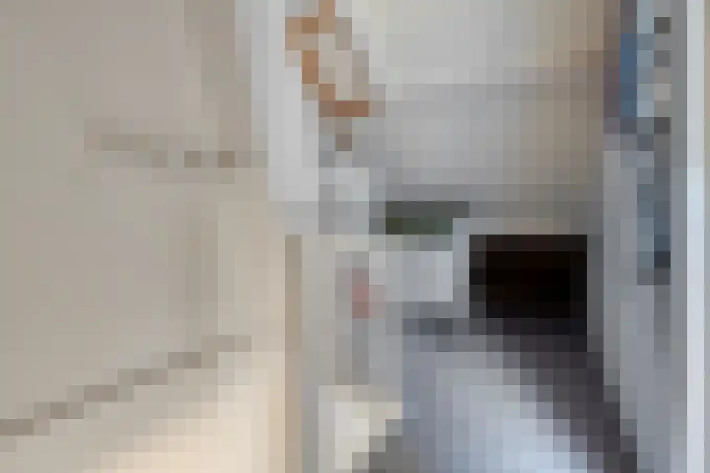 Bachlaan 64 Goes thumbnail 26