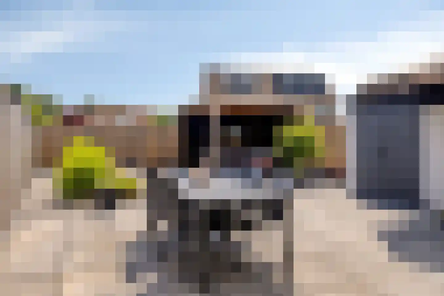 Bachlaan 64 Goes thumbnail 30