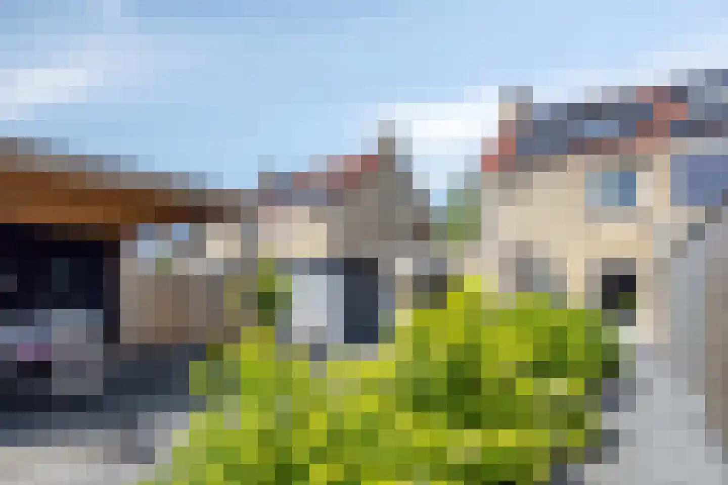Bachlaan 64 Goes thumbnail 33