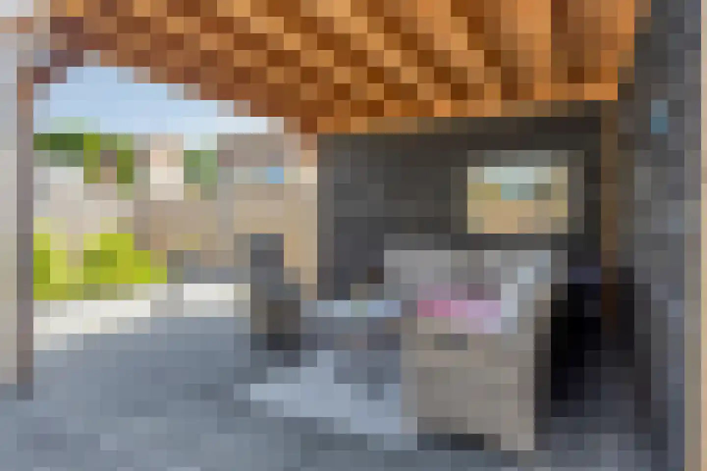 Bachlaan 64 Goes thumbnail 35