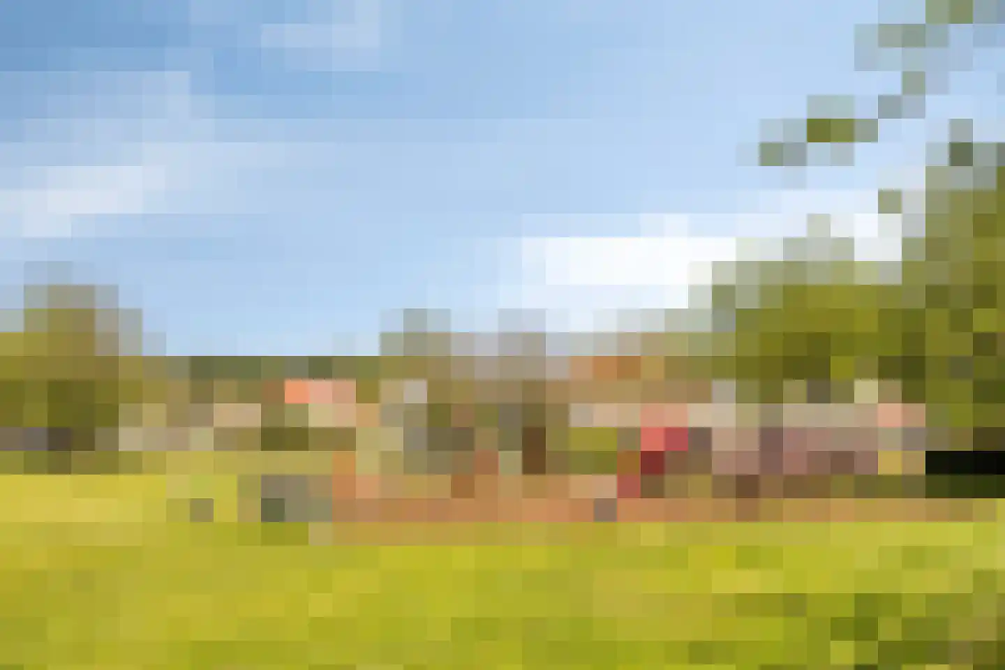 Bachlaan 64 Goes thumbnail 37