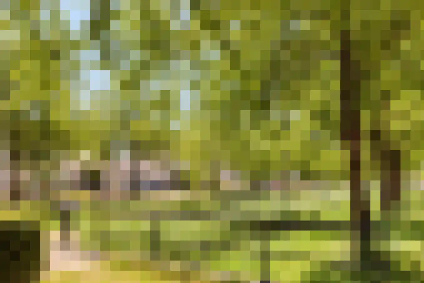 Bachlaan 64 Goes thumbnail 38