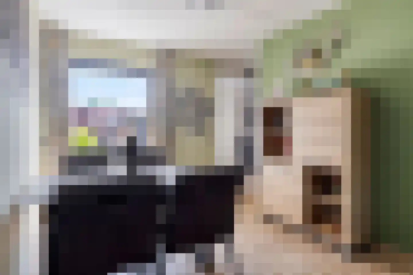 Bachlaan 64 Goes thumbnail 8