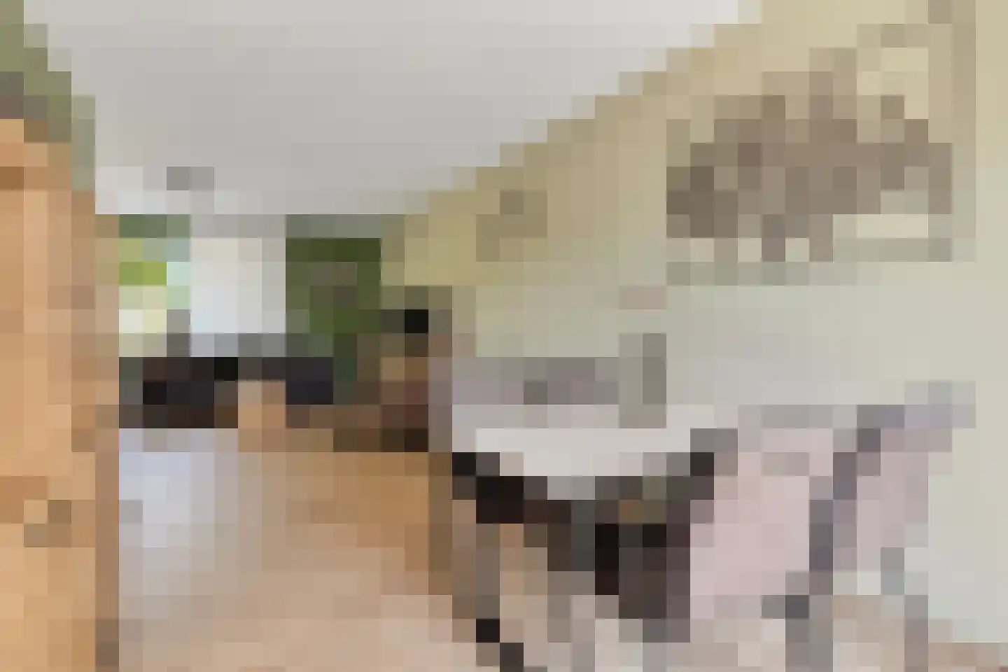 Bachlaan 64 Goes thumbnail 9
