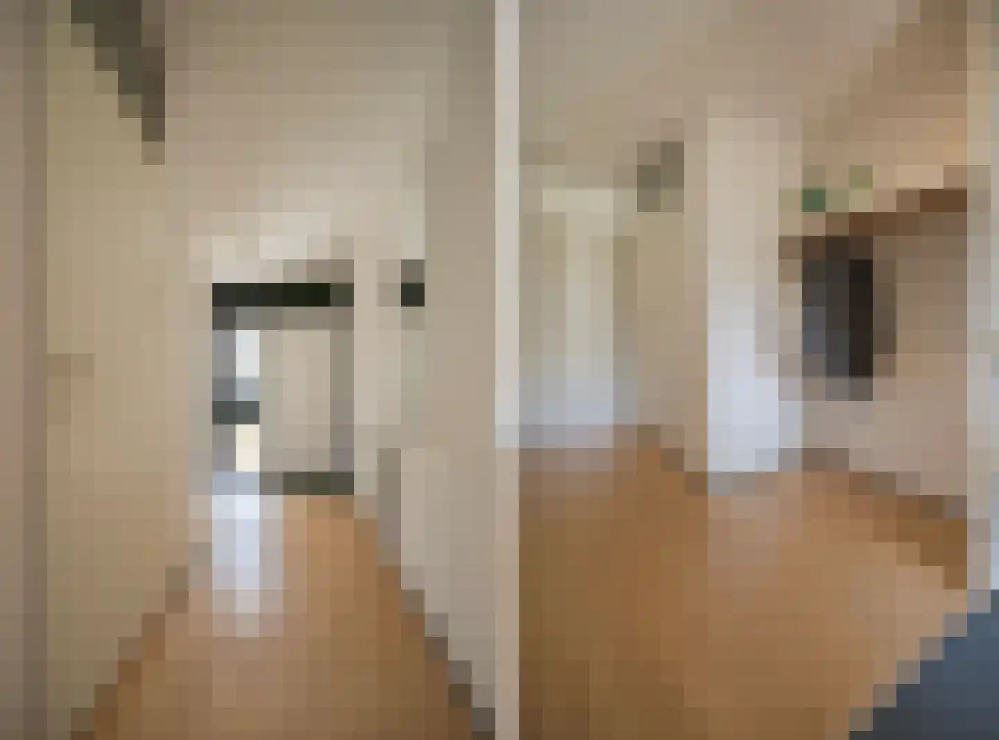 Bachlaan 65 Doorwerth thumbnail 19