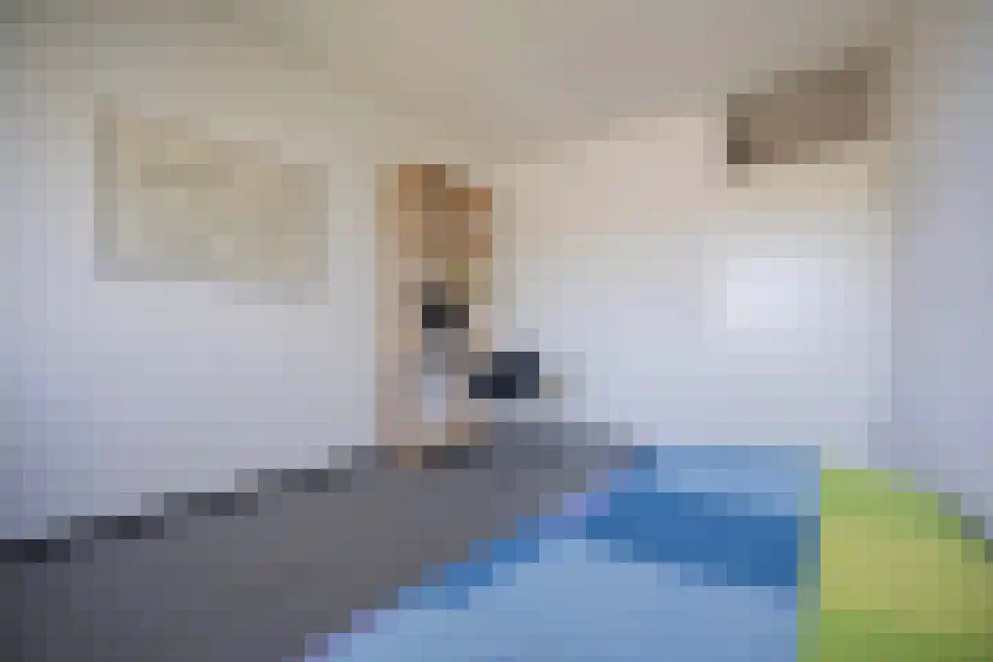 Bachlaan 65 Doorwerth thumbnail 37