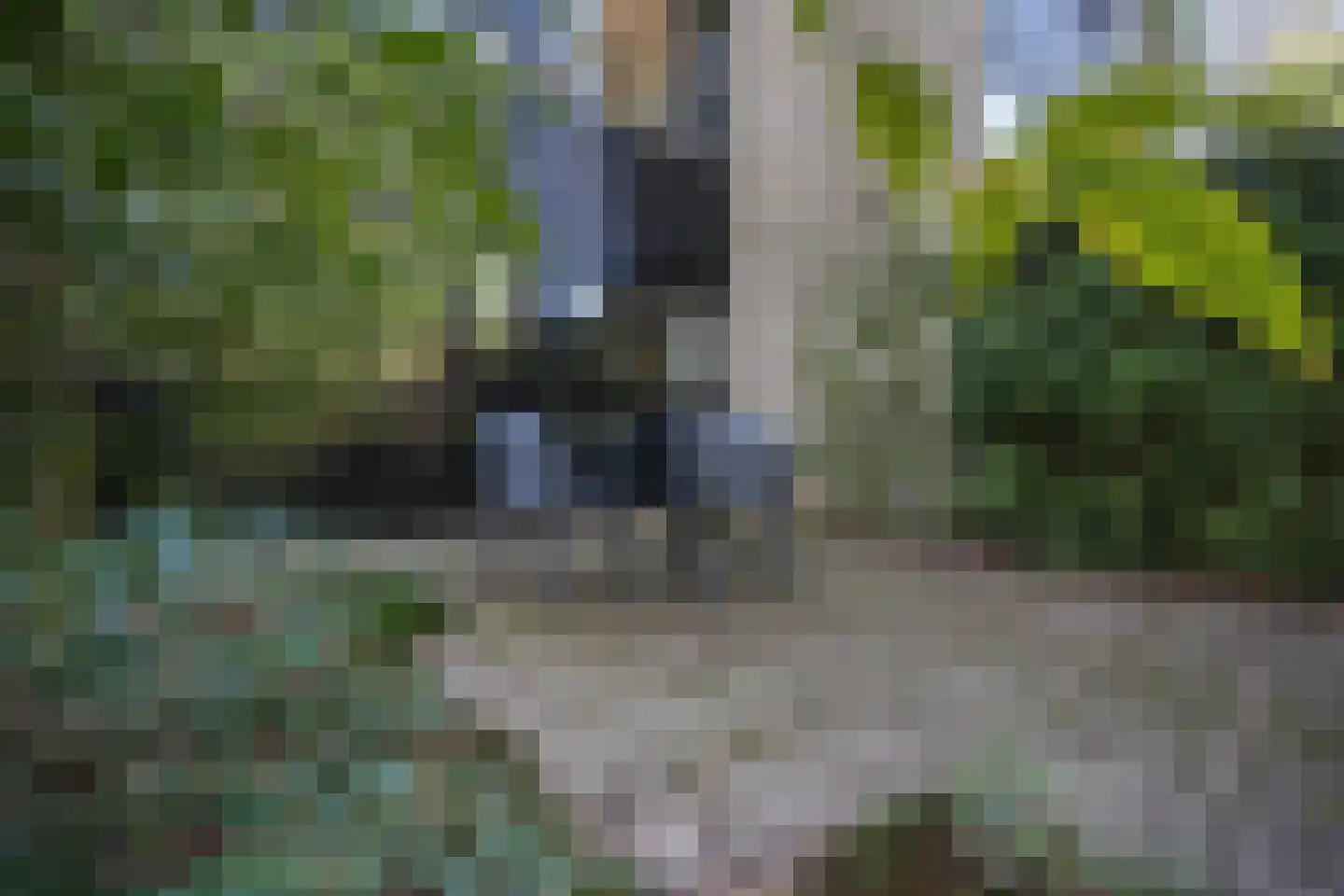Bachlaan 65 Doorwerth thumbnail 58