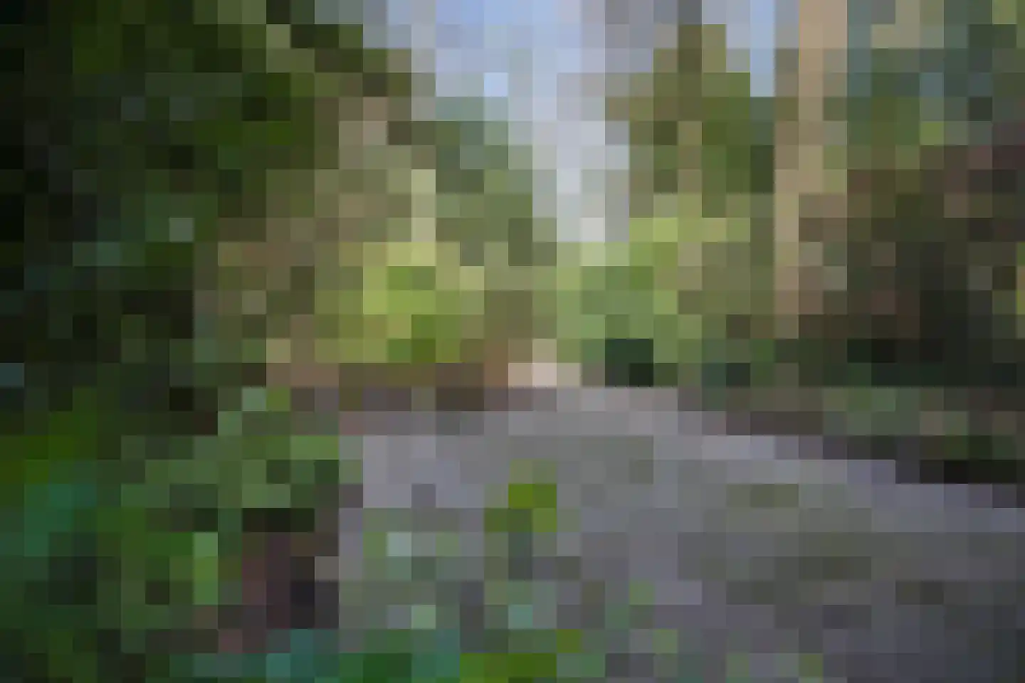 Bachlaan 65 Doorwerth thumbnail 59