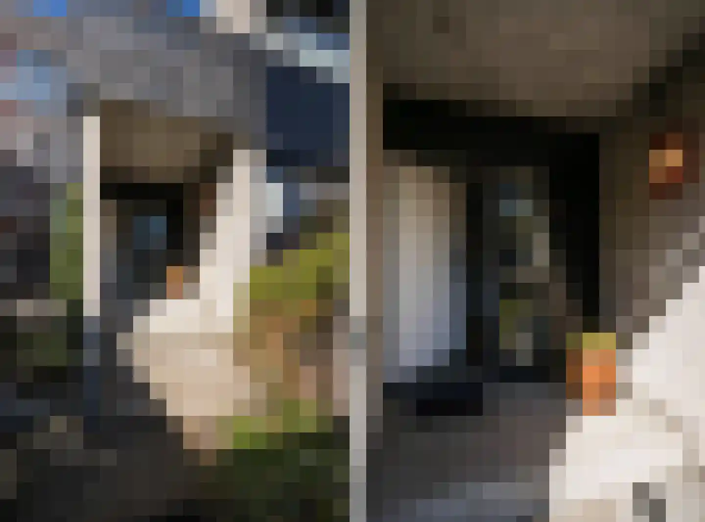 Bachlaan 65 Doorwerth thumbnail 8